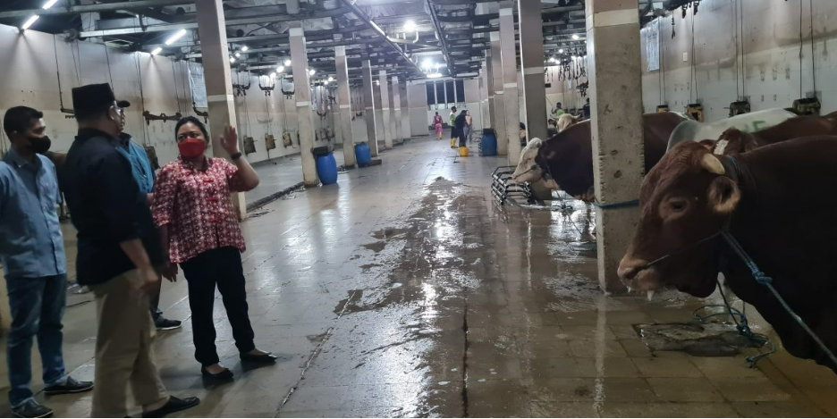 Wabah PMK Ancam Kebutuhan Stok Daging Sapi di Masyarakat